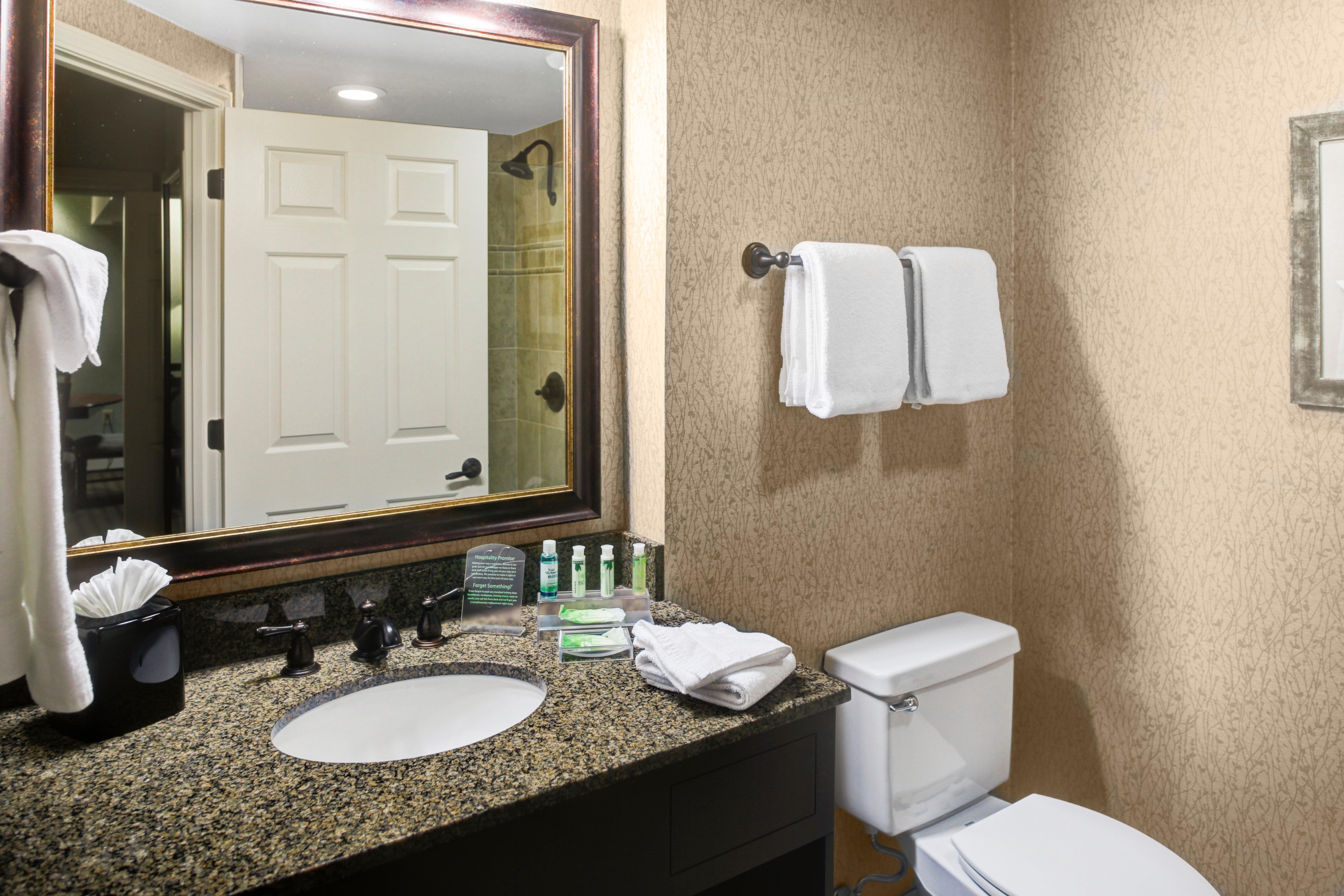 Holiday Inn Express Hotel & Suites Atlanta Buckhead By Ihg Dış mekan fotoğraf